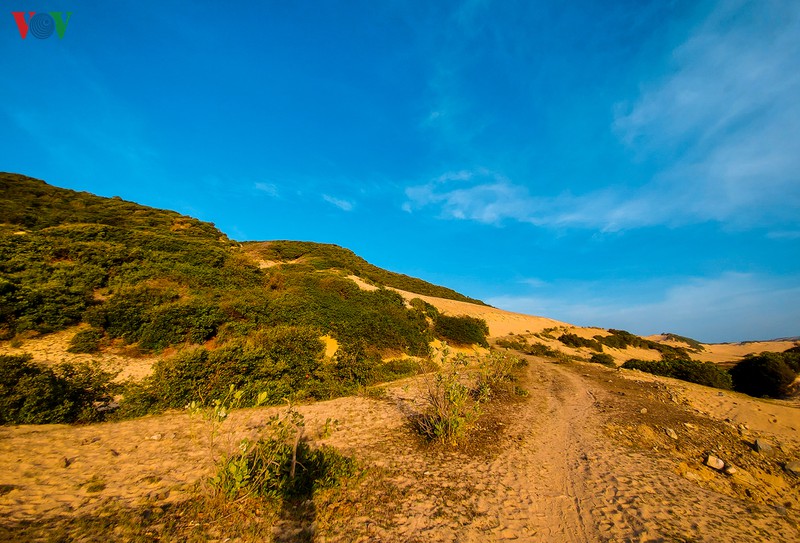 hanh trinh ngam binh minh o mui doi, diem cuc dong tren dat lien viet nam hinh 5
