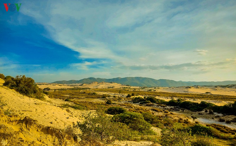 hanh trinh ngam binh minh o mui doi, diem cuc dong tren dat lien viet nam hinh 6