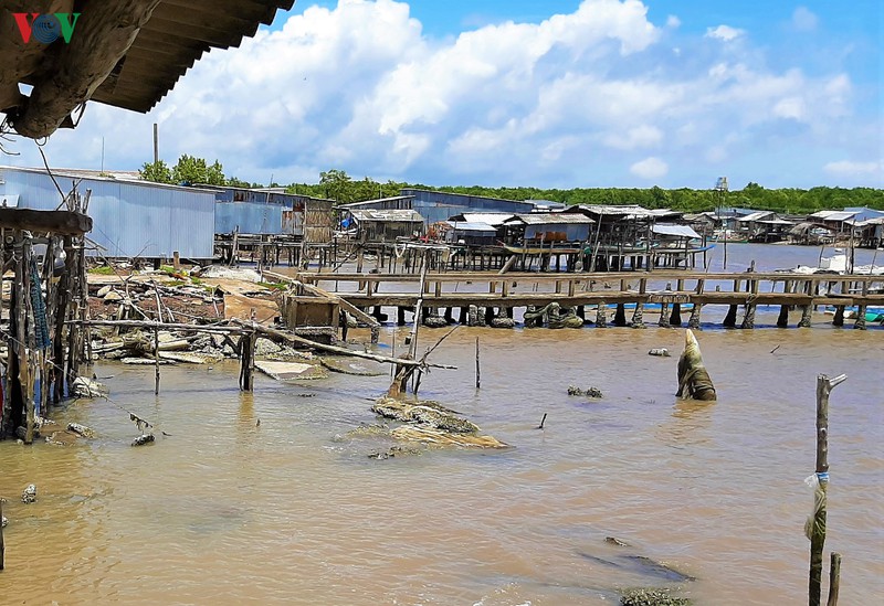 12 can nha bi sup xuong song luc nua dem o ca mau hinh 1