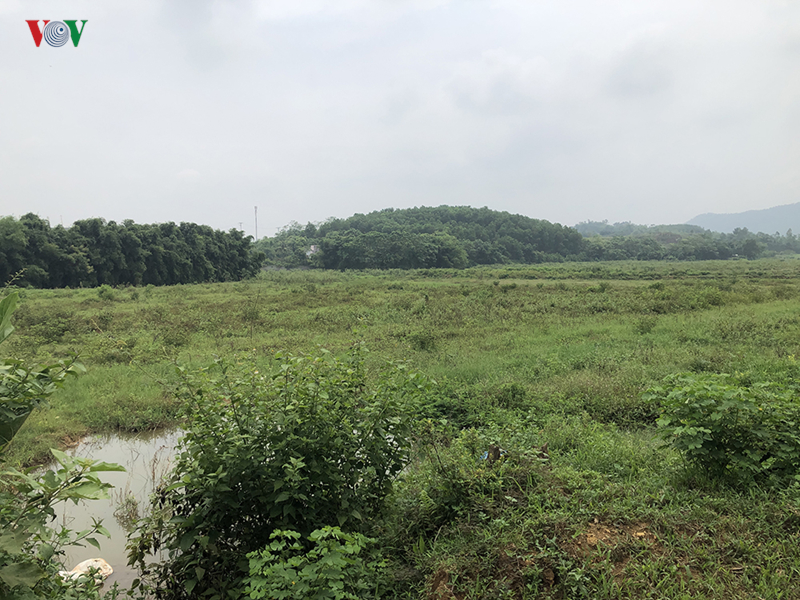 anh: hai khu dat bi thu hoi so do cua nguoi nha giam doc so kh-dt ha noi hinh 8