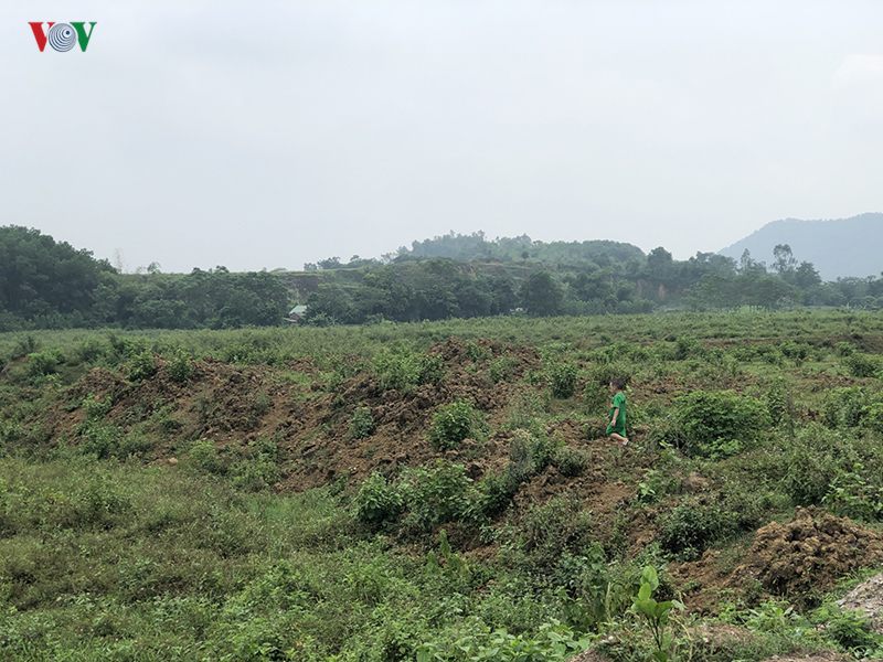anh: hai khu dat bi thu hoi so do cua nguoi nha giam doc so kh-dt ha noi hinh 7