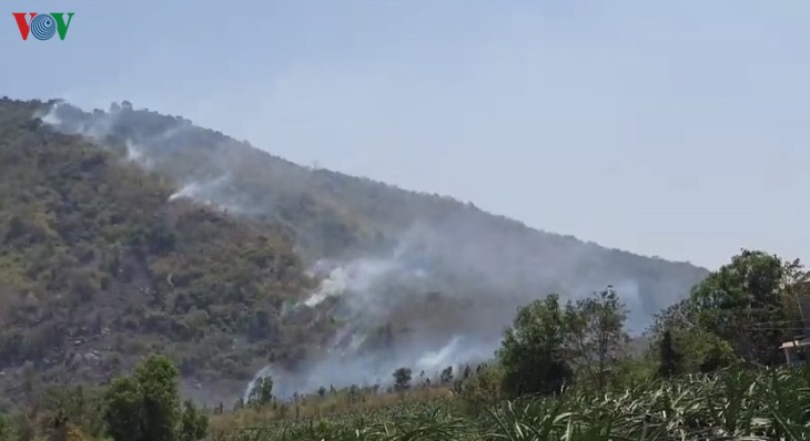 Cháy rừng trên đỉnh Tà Cú, 6 tiếng mới dập tắt