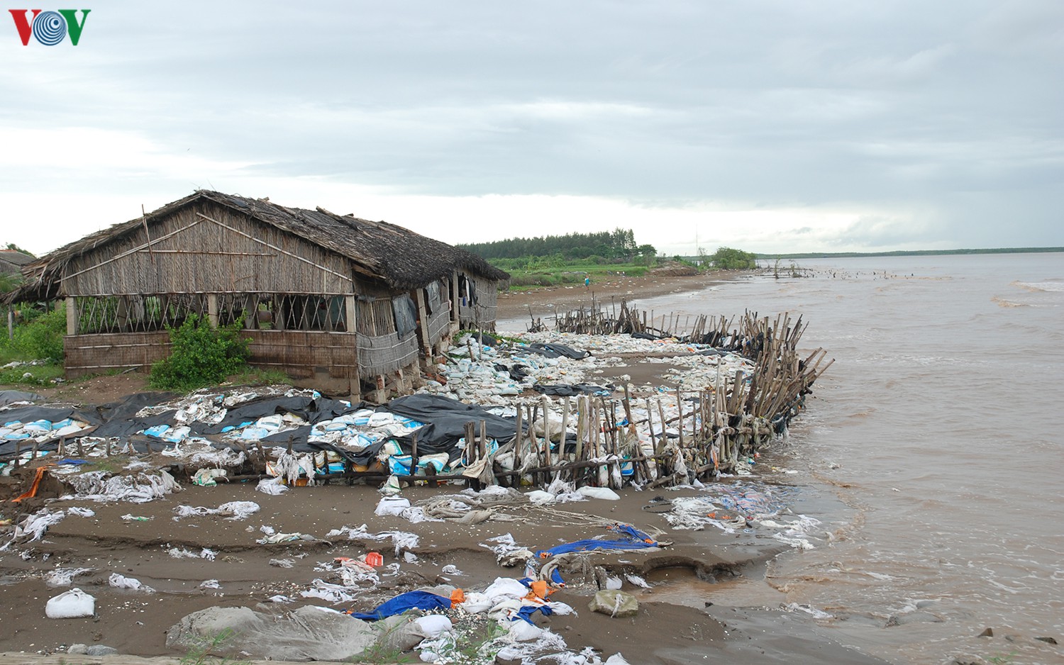 Nghe VietNamNet: Bến Tre công bố tình huống “khẩn cấp” sạt lở bờ sông, bờ biển
