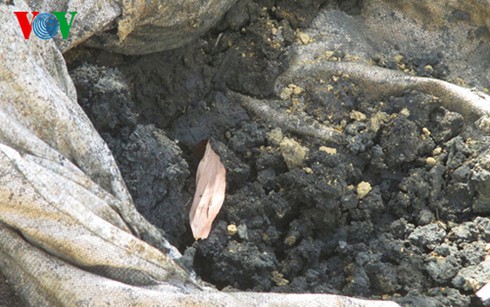 Shop TIN 18/7: ĐÁNH GỤC NGƯ DÂN - ảnh 12