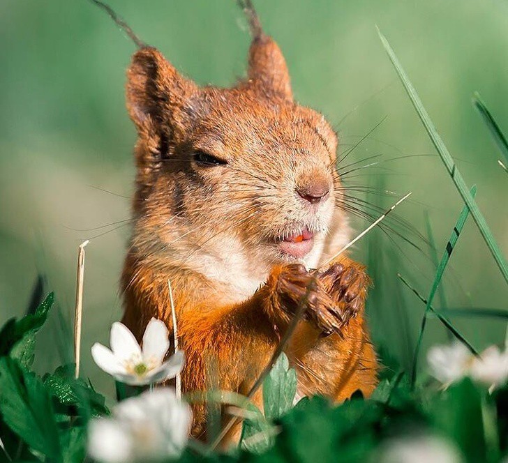 nhiep anh gia chup the gioi hoang da o phan lan dep nhu co tich hinh 12