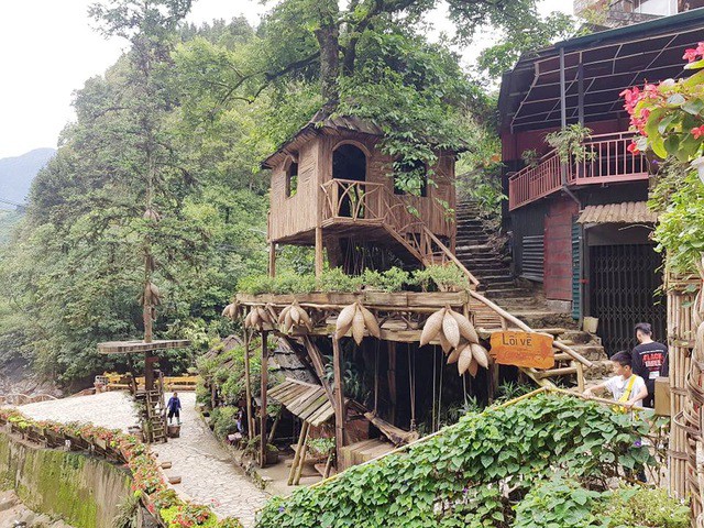 ban lang moc mac nho xinh o sa pa khien ai cung muon ghe tham hinh 6