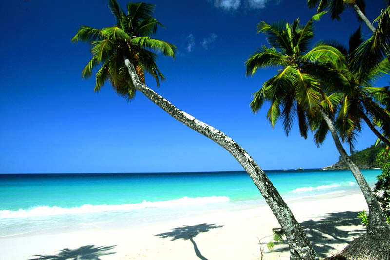 canh dep me hon cua dao quoc seychelles xinh dep giua an do duong hinh 13