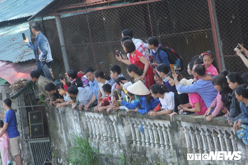 Đại bàng tiên tri dự đoán Áo vs Đan Mạch, 1h45 ngày 7/6