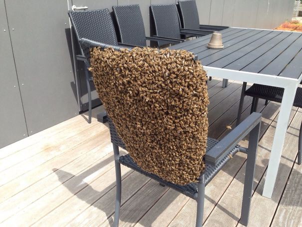 rung minh truoc nhung buc anh thien nhien ky quai hinh 16