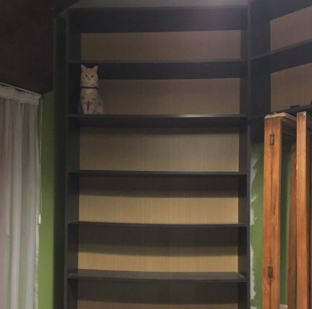 hanh dong ky quac cua cac