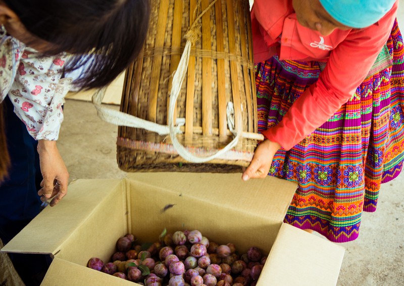 mua man o moc chau hinh 13