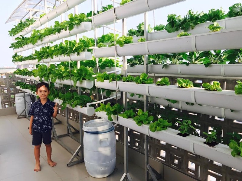 nhung sao viet dam me lam vuon, thu hoach rau trai nhu nong dan thuc thu hinh 3