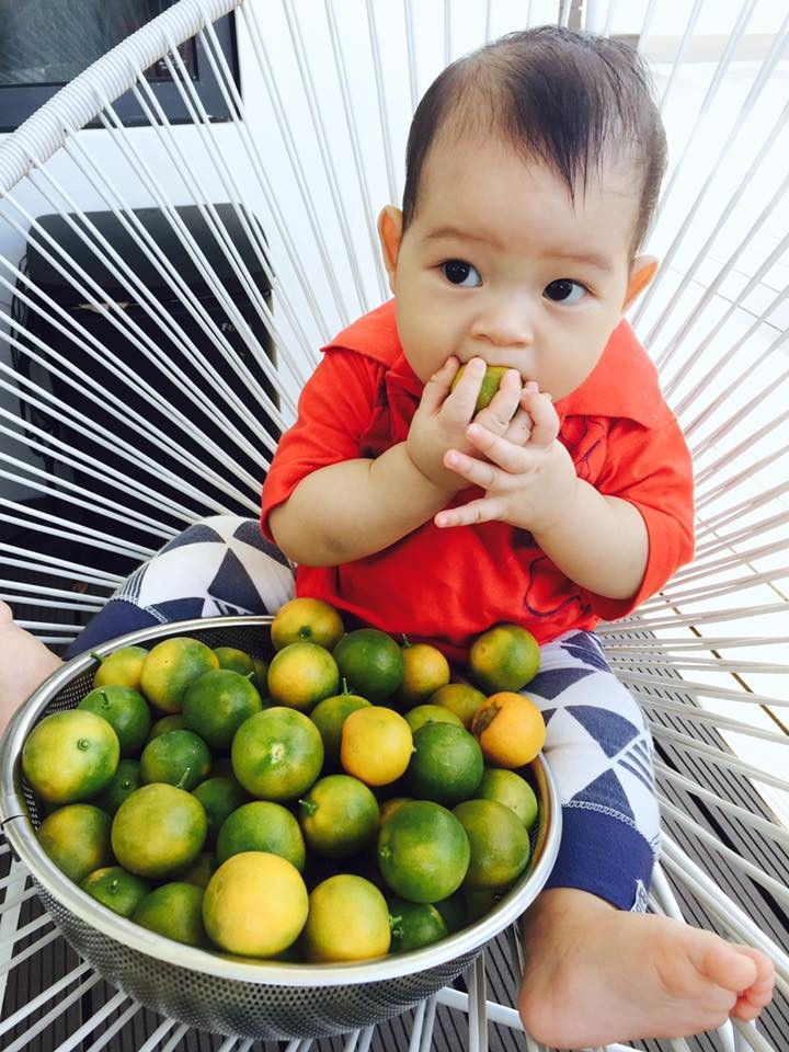 nhung sao viet dam me lam vuon, thu hoach rau trai nhu nong dan thuc thu hinh 4