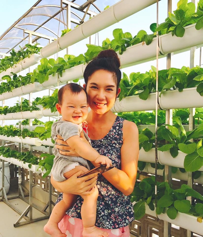 nhung sao viet dam me lam vuon, thu hoach rau trai nhu nong dan thuc thu hinh 2