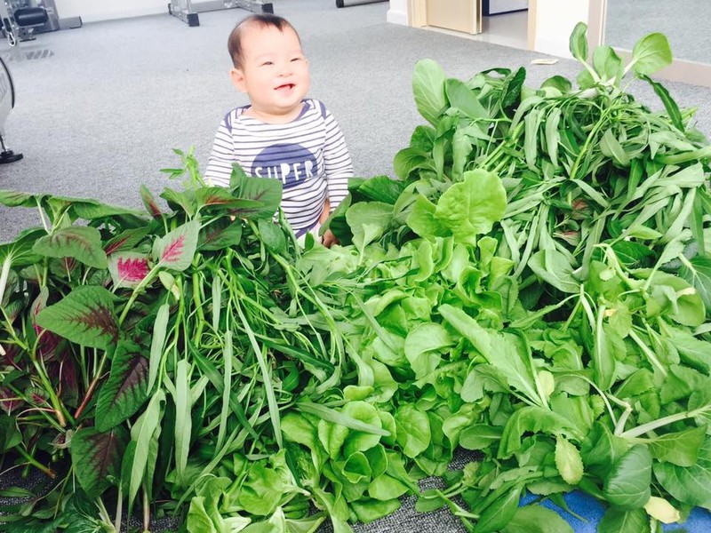 nhung sao viet dam me lam vuon, thu hoach rau trai nhu nong dan thuc thu hinh 6