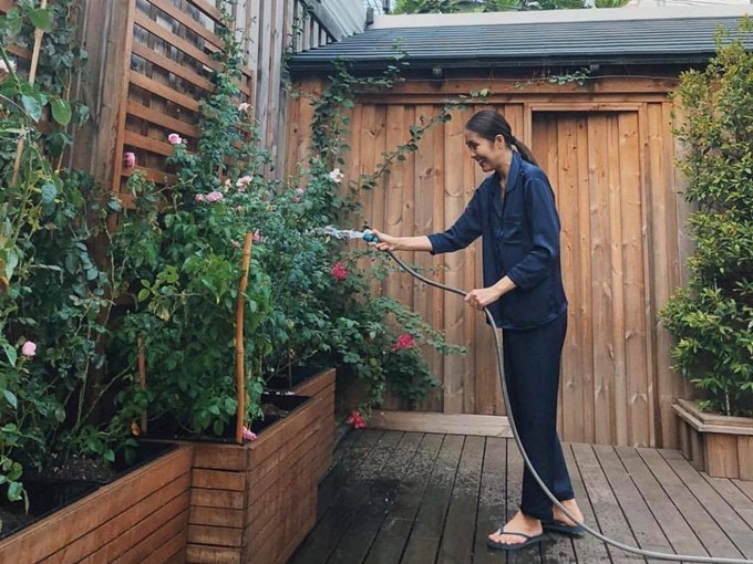 nhung sao viet dam me lam vuon, thu hoach rau trai nhu nong dan thuc thu hinh 10