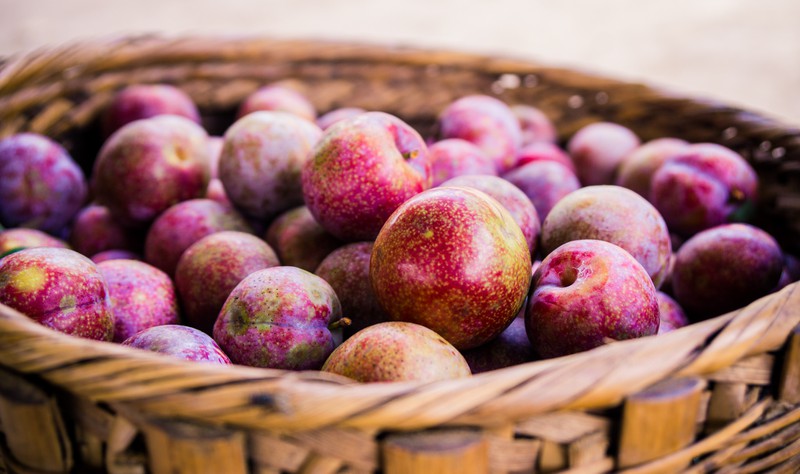 mua man o moc chau hinh 8