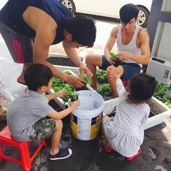 nhung sao viet dam me lam vuon, thu hoach rau trai nhu nong dan thuc thu hinh 5