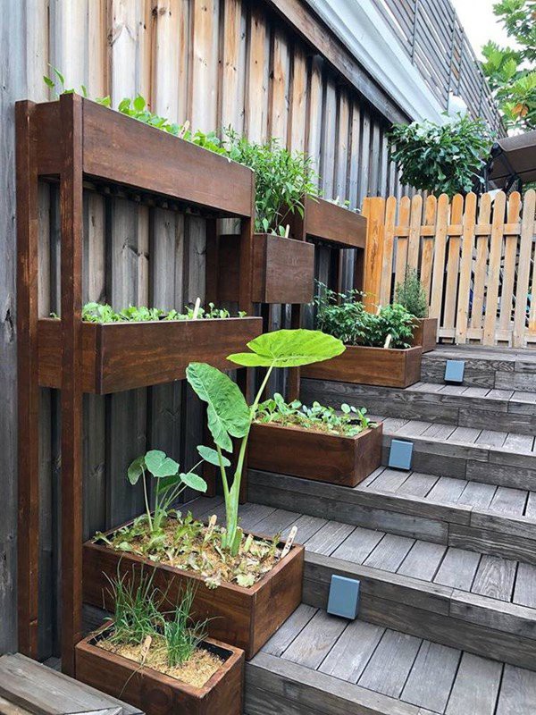 nhung sao viet dam me lam vuon, thu hoach rau trai nhu nong dan thuc thu hinh 11