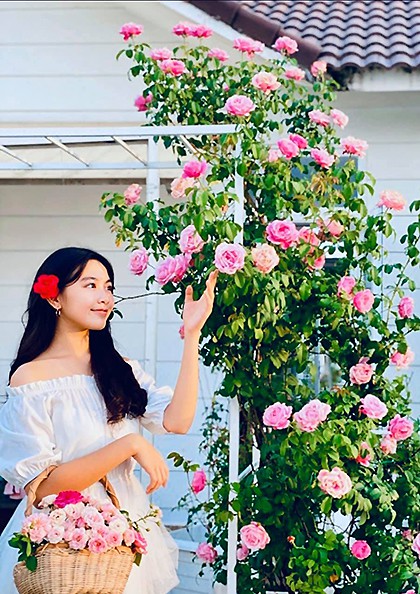 nhung sao viet dam me lam vuon, thu hoach rau trai nhu nong dan thuc thu hinh 8