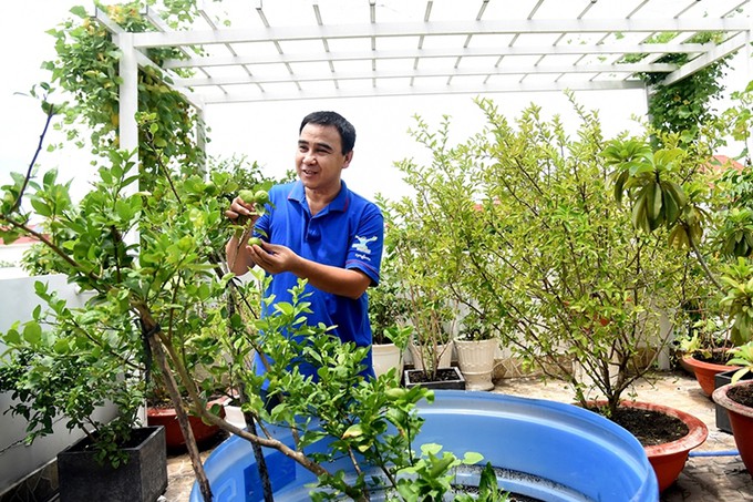 nhung sao viet dam me lam vuon, thu hoach rau trai nhu nong dan thuc thu hinh 9