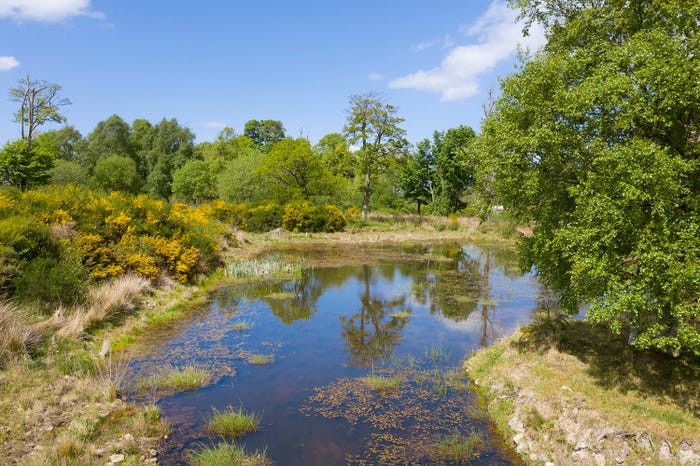 lau dai mau hong dep nhu co tich o vung cao nguyen scotland hinh 3