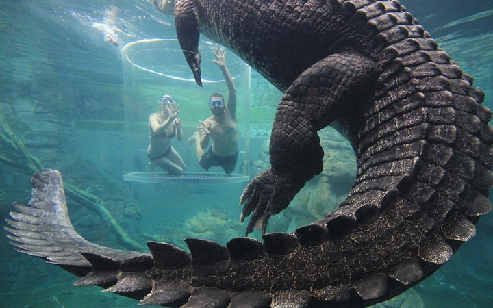 trai nghiem cam giac dung tim khi boi cung ca sau an thit nguoi hinh 10