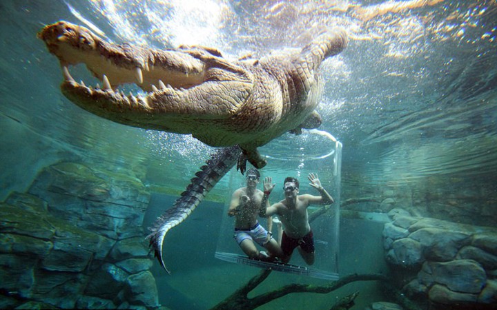 trai nghiem cam giac dung tim khi boi cung ca sau an thit nguoi hinh 13