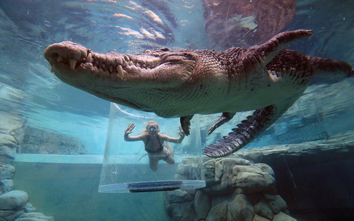 trai nghiem cam giac dung tim khi boi cung ca sau an thit nguoi hinh 15