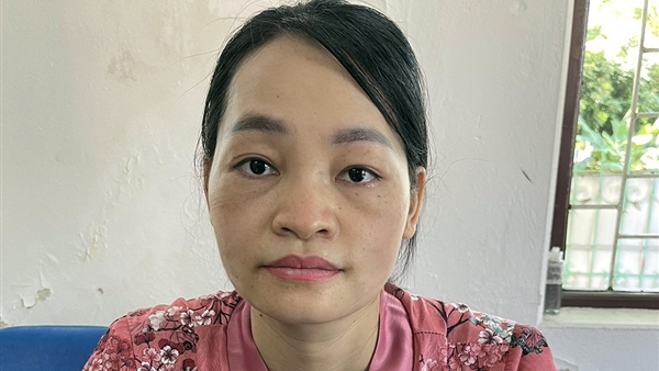 'Nữ quái' thuê ô tô dài hạn, làm giả giấy tờ rồi mang xe đi cầm cố