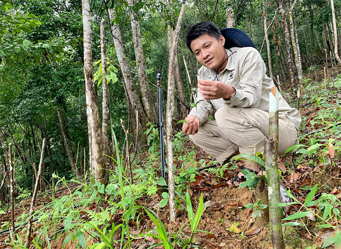 Những “Vua” sâm miền biên viễn -0