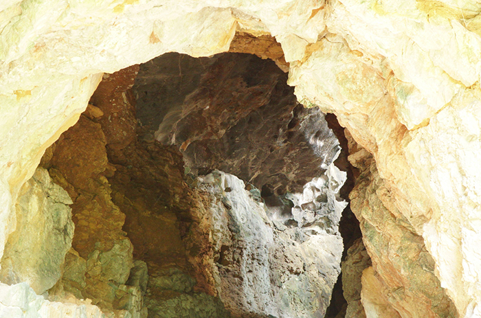 Kì lạ nghề nhặt phân “vua” -0