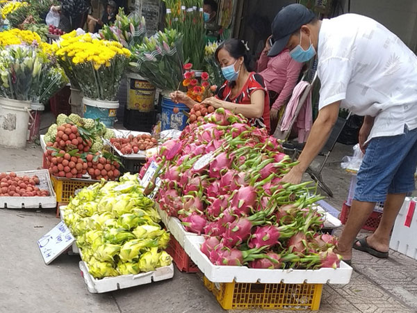 Vì sao thanh long vàng độc - lạ nhưng vẫn rớt giá thảm hại?