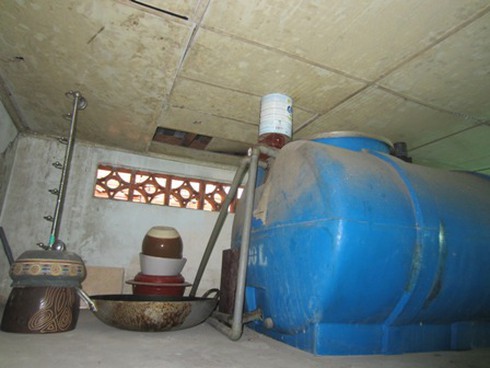 Ngành y tế TP.HCM vào cuộc điều tra bọ xít hút máu người - ảnh 1