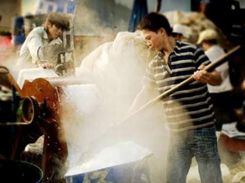 Hơn 300.000 người mắc bệnh nghề nghiệp - ảnh 1