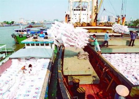 Cuộc chiến xuất khẩu gạo vào hồi cam go - ảnh 1
