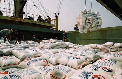 DN Trung Quốc liên tục ép giá, hủy hợp đồng mua gạo VN - ảnh 1