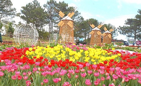 Festival hoa Đà Lạt: Sẽ công bố số điện thoại “nóng” của lãnh đạo - ảnh 1