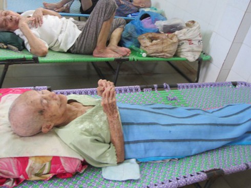 Nước mắt người già phải dưỡng lão ở chùa - ảnh 4