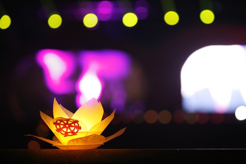 Chùm ảnh 3000 hoa đăng tưởng nhớ nạn nhân TNGT - ảnh 12