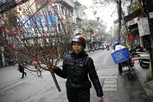 Ngày cuối cùng năm Quý Tỵ tại thủ đô Hà Nội - ảnh 3