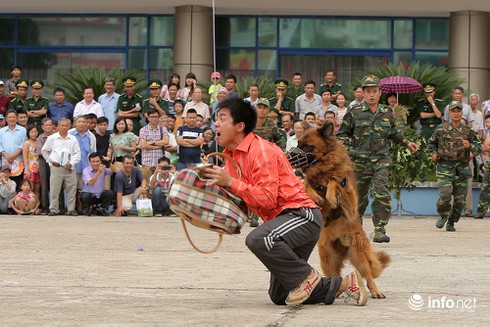 Dũng mãnh những chú chó nghiệp vụ của Bộ đội Biên phòng - ảnh 8
