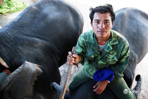 Kinh ngạc cưỡi voi bơi trên hồ Lăk - ảnh 4