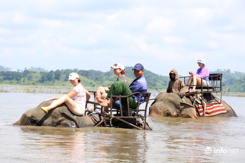 Kinh ngạc cưỡi voi bơi trên hồ Lăk - ảnh 6