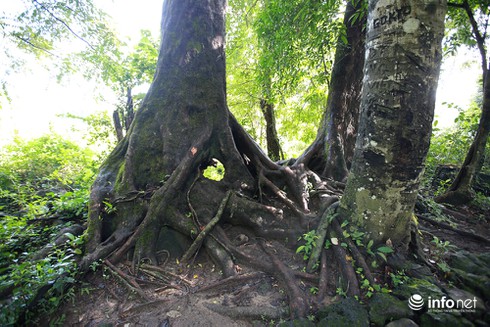 Thăm thác Chồng, Vợ ở Đăk Nông - ảnh 7