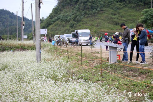 Hà Giang cuốn hút