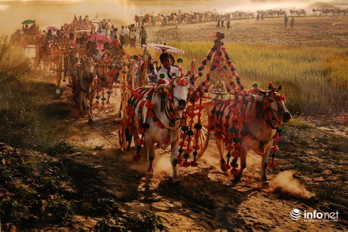 Trao giải Liên hoan Ảnh và Phim Phóng sự - Tài liệu về các Dân tộc trong ASEAN - ảnh 6