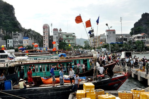 Tàu, thuyền vào nơi tránh trú bão àn toàn tại Vân Đồn.