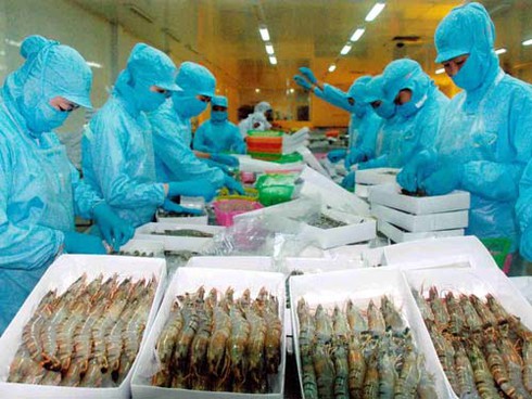 Hủy vụ kiện con tôm - ảnh 1