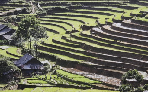 Những bức ảnh say lòng du khách SaPa - ảnh 3